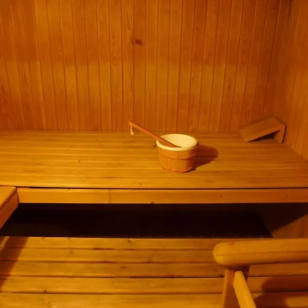 Apartment Jeanne D'arc Loft Combi By Interhome Crans-Montana